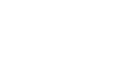 Institutional Security